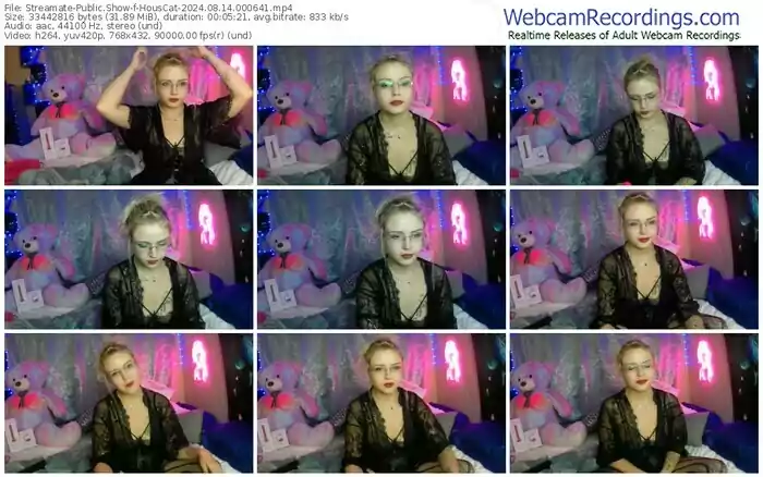 streamate-houscat-08-14-2024-00-06-41