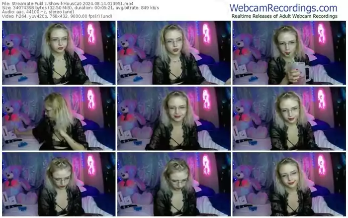 streamate-houscat-08-14-2024-01-39-51