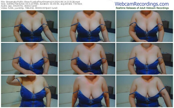 streamate-ladyofyourdreams19-08-14-2024-21-31-28