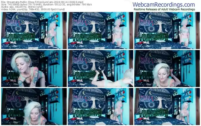streamate-missquincam-08-14-2024-13-06-19