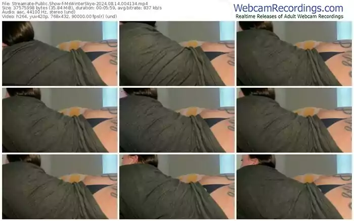 streamate-mswinterskye-08-14-2024-00-41-34