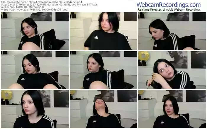 streamate-noreendia-08-14-2024-06-44-54