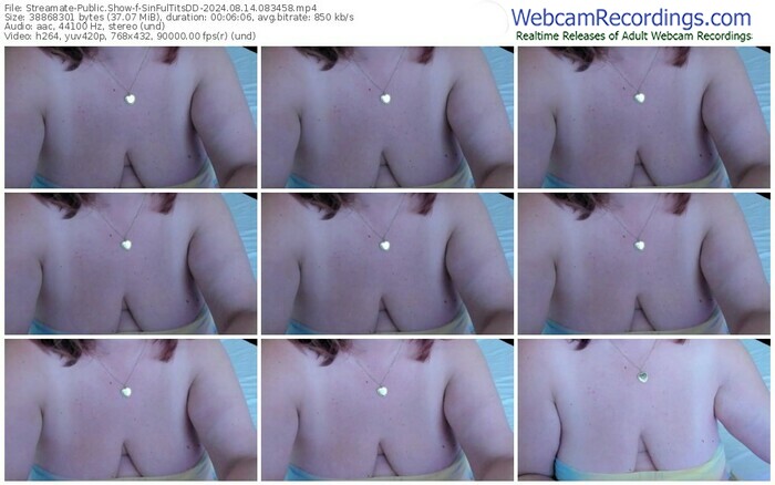 streamate-sinfultitsdd-08-14-2024-08-34-58