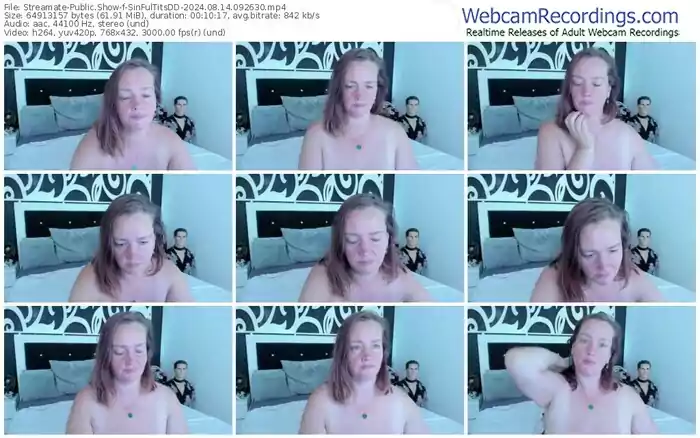 streamate-sinfultitsdd-08-14-2024-09-26-30