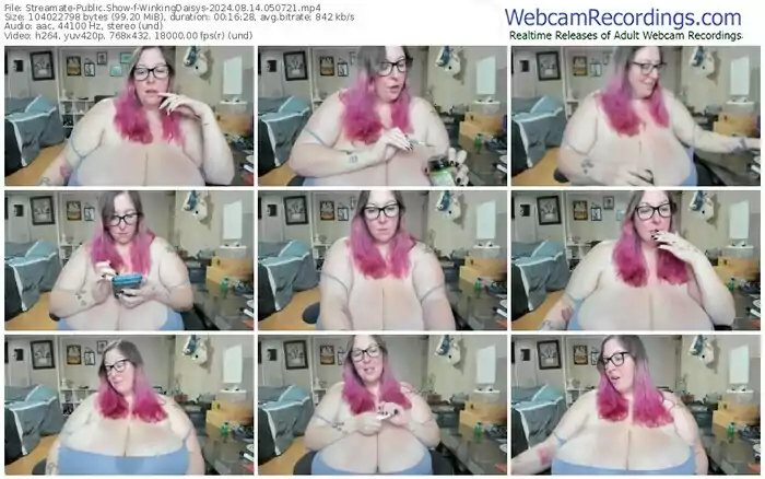 streamate-winkingdaisys-08-14-2024-05-07-21