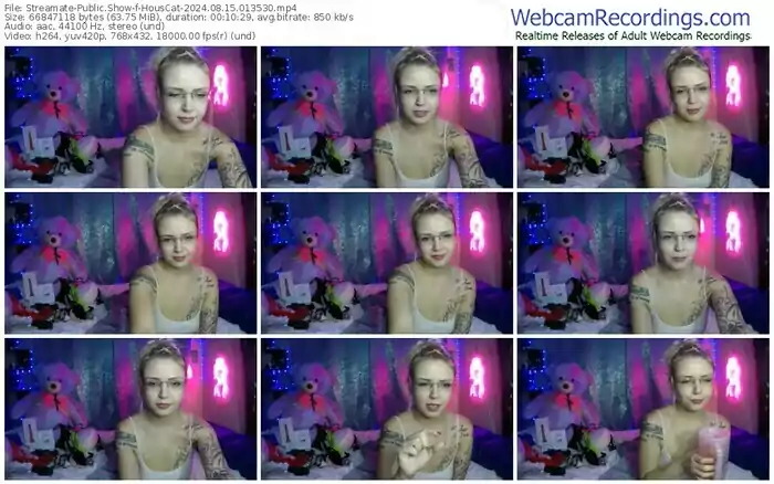 streamate-houscat-08-15-2024-01-35-30