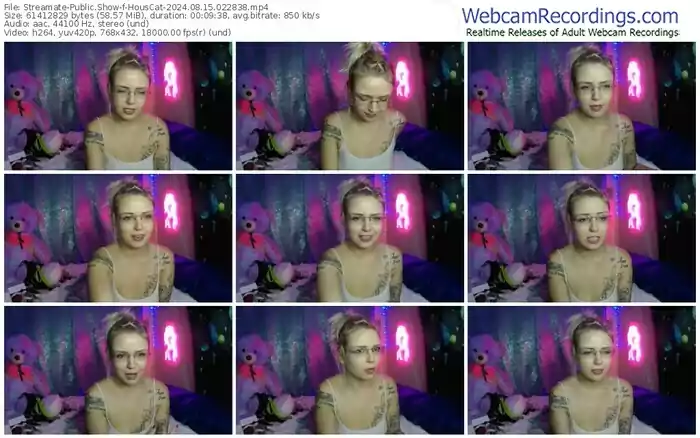 streamate-houscat-08-15-2024-02-28-38