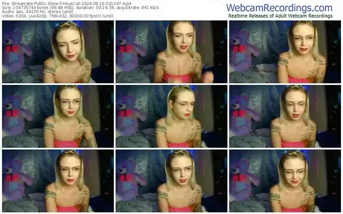 streamate-houscat-08-16-2024-02-10-47