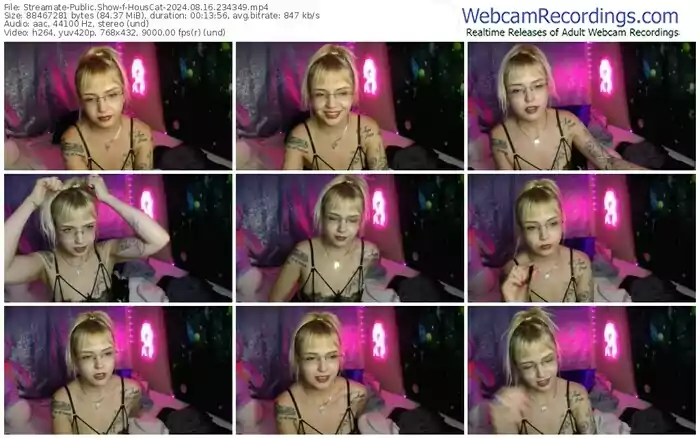 streamate-houscat-08-16-2024-23-43-49