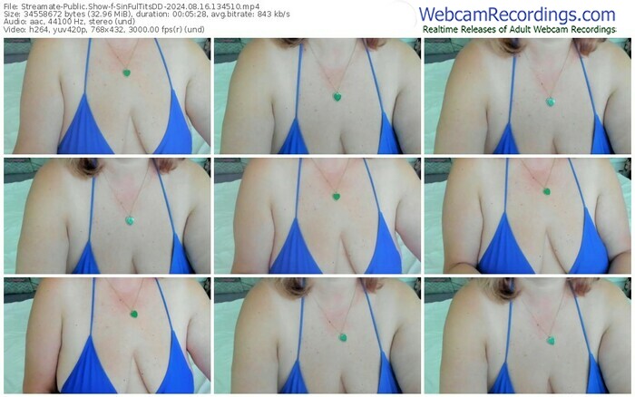 streamate-sinfultitsdd-08-16-2024-13-45-10