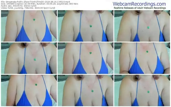 streamate-sinfultitsdd-08-16-2024-13-45-10