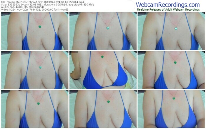 streamate-sinfultitsdd-08-16-2024-15-00-14