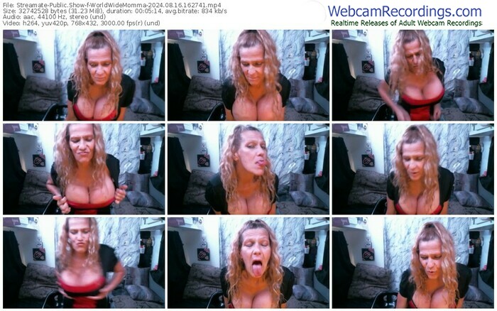 streamate-worldwidemomma-08-16-2024-16-27-41