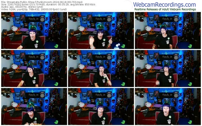 streamate-punkunicorn-08-18-2024-00-17-03