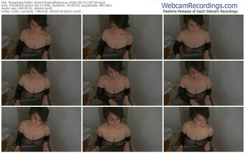 streamate-dameblazeylux-08-19-2024-10-57-36