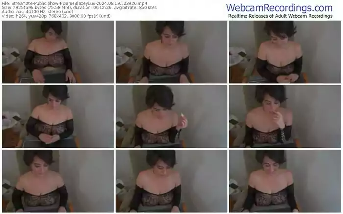 streamate-dameblazeylux-08-19-2024-12-39-26