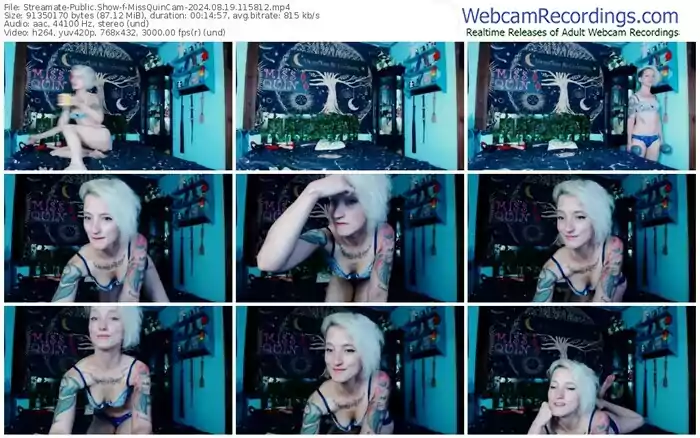 streamate-missquincam-08-19-2024-11-58-12