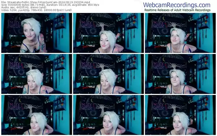 streamate-missquincam-08-19-2024-19-32-34