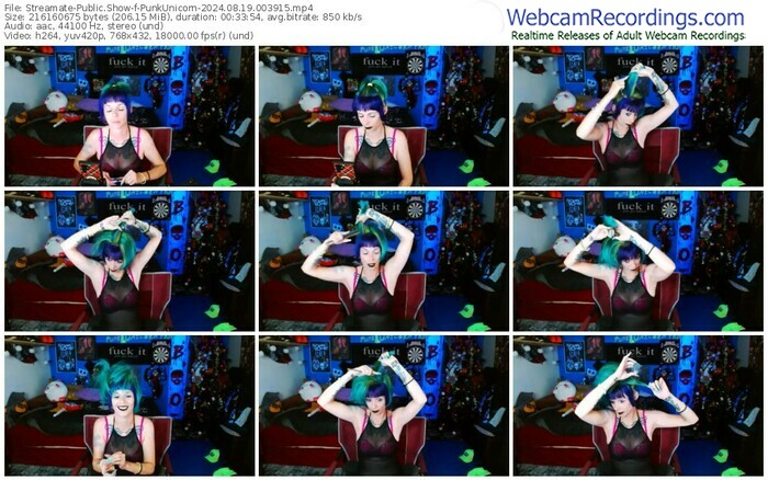 streamate-punkunicorn-08-19-2024-00-39-15
