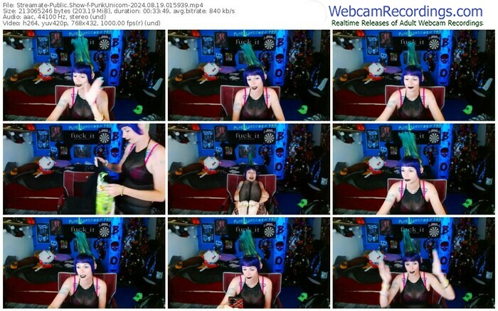 streamate-punkunicorn-08-19-2024-01-59-39