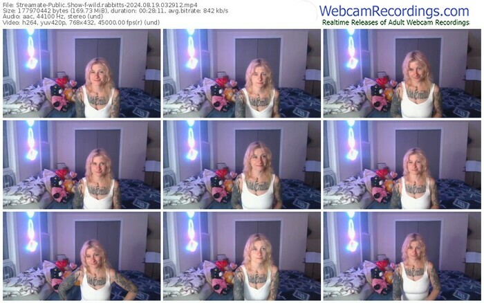 streamate-wild.rabbitts-08-19-2024-03-29-12