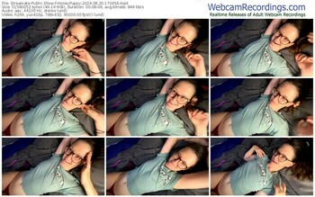 streamate-honeypuppy-08-20-2024-17-34-54