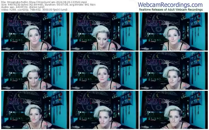streamate-missquincam-08-20-2024-13-35-42