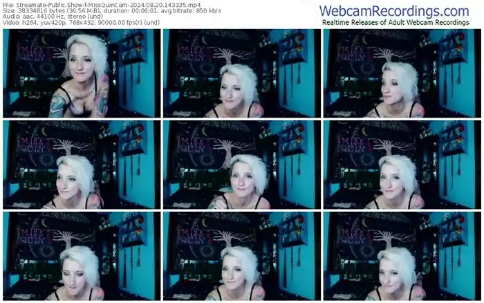 streamate-missquincam-08-20-2024-14-33-35