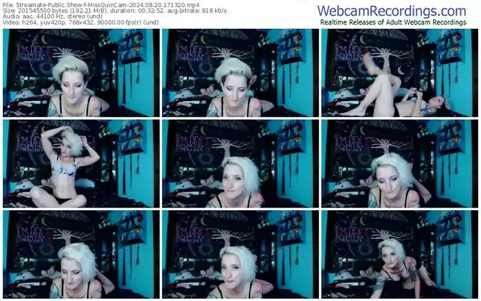 streamate-missquincam-08-20-2024-17-13-20