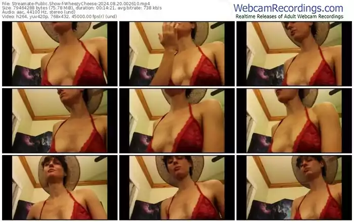 streamate-wheezycheese-08-20-2024-00-26-10
