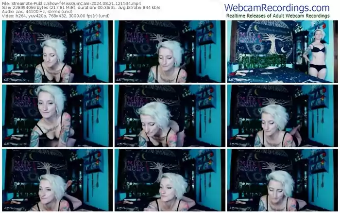 streamate-missquincam-08-21-2024-12-15-34