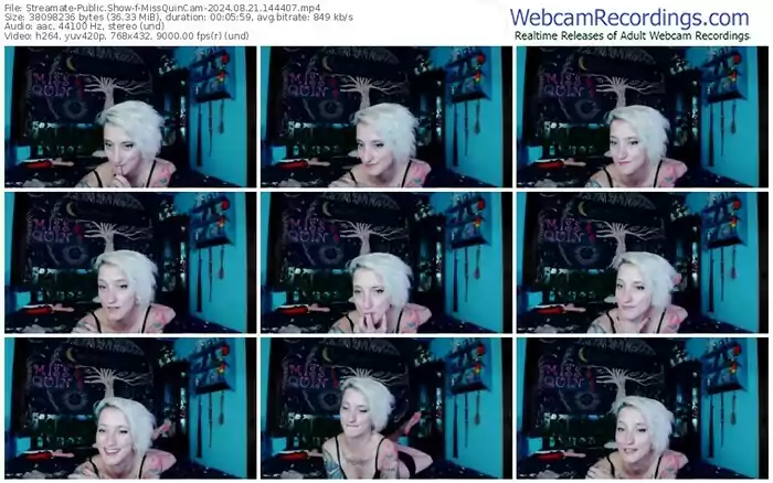 streamate-missquincam-08-21-2024-14-44-07