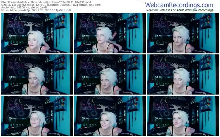 streamate-missquincam-08-21-2024-18-48-32