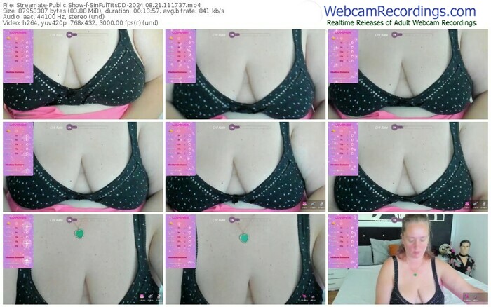 streamate-sinfultitsdd-08-21-2024-11-17-37