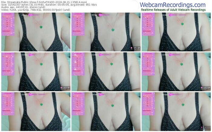 streamate-sinfultitsdd-08-21-2024-13-58-14