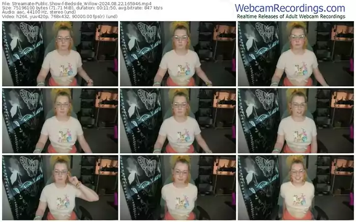 streamate-bedside_willow-08-22-2024-16-59-46