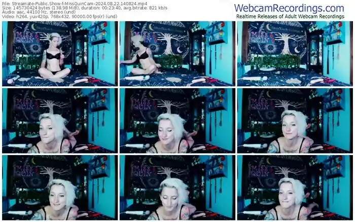 streamate-missquincam-08-22-2024-14-08-24