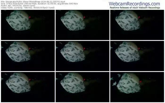 streamate-rosiepeep-08-22-2024-23-57-01