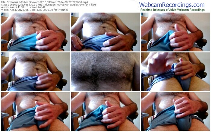streamate-woodiesays-08-22-2024-22-26-30