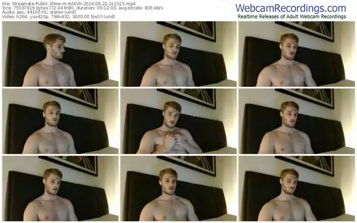 streamate-mtkvii-08-22-2024-21-15-15