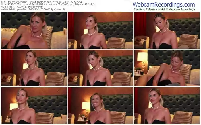 streamate-anemarieart-08-23-2024-12-35-35