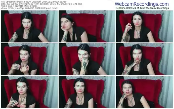 streamate-cleadark-08-23-2024-01-06-05