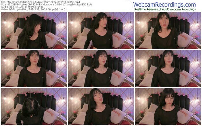 streamate-violetaparr-08-23-2024-16-48-56