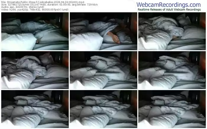 streamate-cookiebabie-08-24-2024-06-16-01