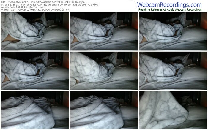 streamate-cookiebabie-08-24-2024-11-06-02