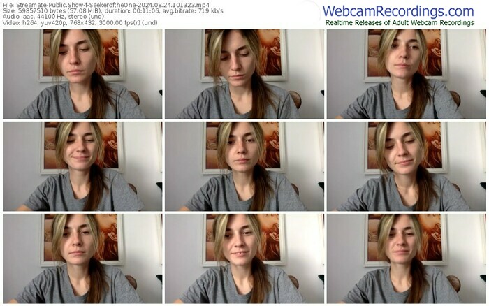 streamate-seekeroftheone-08-24-2024-10-13-23