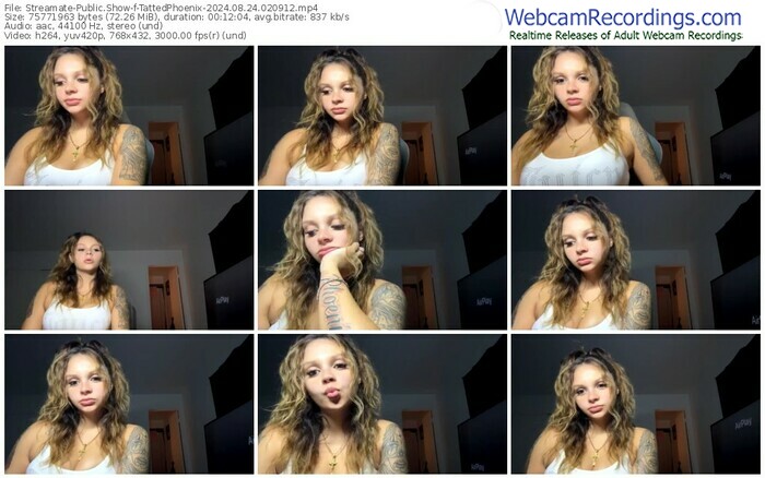 streamate-tattedphoenix-08-24-2024-02-09-12