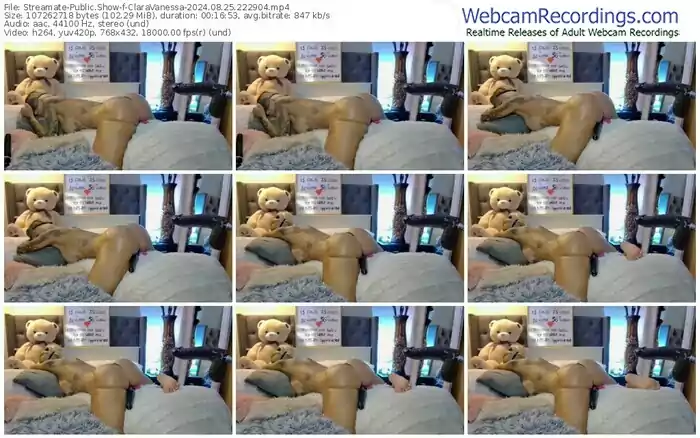 streamate-claravanessa-08-25-2024-22-29-04