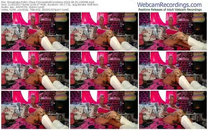 streamate-dixierebeldixiedime-08-25-2024-16-48-48