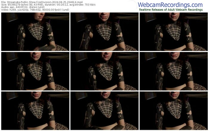 streamate-joidivision-08-25-2024-23-46-14